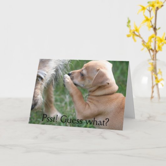 Psst! Gissing wat? Kaart (Gele Bloem)