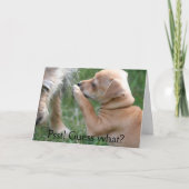 Psst! Gissing wat? Kaart (Voorkant)