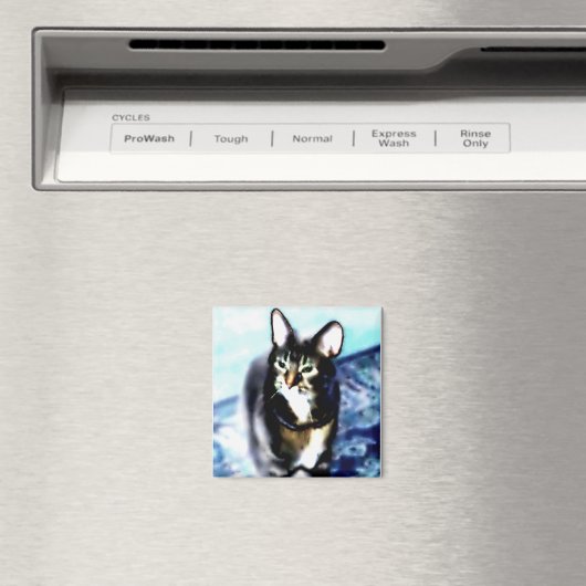 Psychadelisch Kat Magneet (Insitu (Vaatwasser))