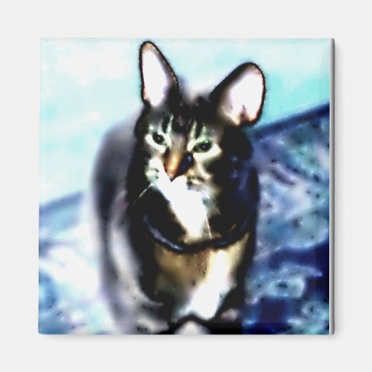 Psychadelisch Kat Magneet (Voorkant)