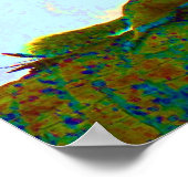 psychadelische foto eekhoorn poster (Hoek)