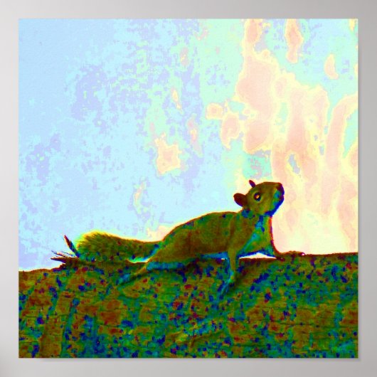 psychadelische foto eekhoorn poster (Voorkant)