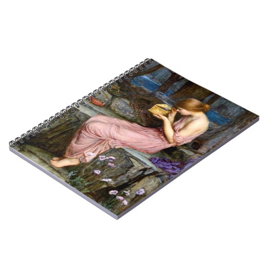 Psyche Het openen van de Gouden Doos Waterhuis Sch Notitieboek (Linkerzijde)