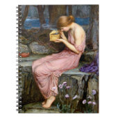 Psyche Het openen van de Gouden Doos Waterhuis Sch Notitieboek (Voorkant)