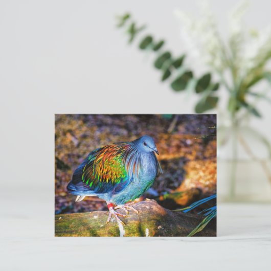 Psychedelic bird van Audubon Zoo Briefkaart (Staand voorkant)