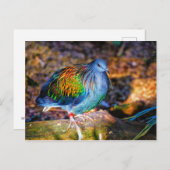 Psychedelic bird van Audubon Zoo Briefkaart (Voorkant / Achterkant)
