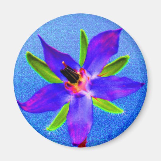 Psychedelic Borage Magnet (Voorkant)