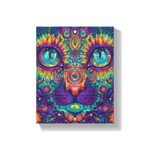 Psychedelic Cat