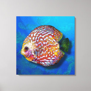 Psychedelic Colorful Exotic Discus Fish Tekening Canvas Afdruk