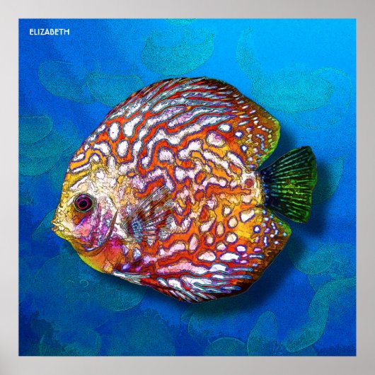 Psychedelic Colorful Exotic Discus Fish Tekening Poster (Voorkant)