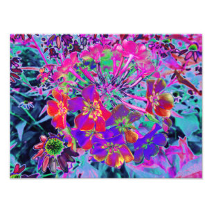 Psychedelic Colorful Red en Purple Flowers Foto Afdruk