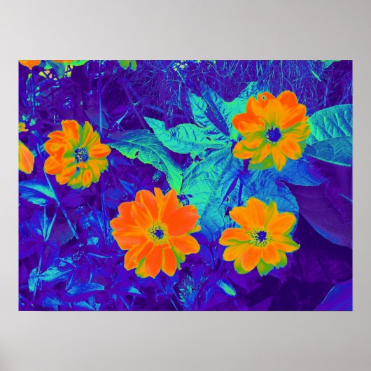 Psychedelic Flower Bed 02 Poster (Voorkant)