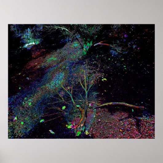 Psychedelic Forest... Poster (Voorkant)