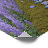 Psychedelic Garden Path Poster (Hoek)