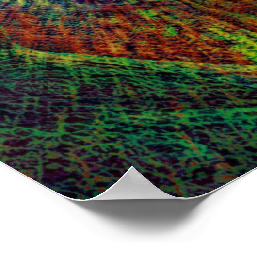 Psychedelic Introspection Poster (Hoek)