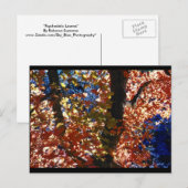 Psychedelic Leaves Briefkaart (Voorkant / Achterkant)