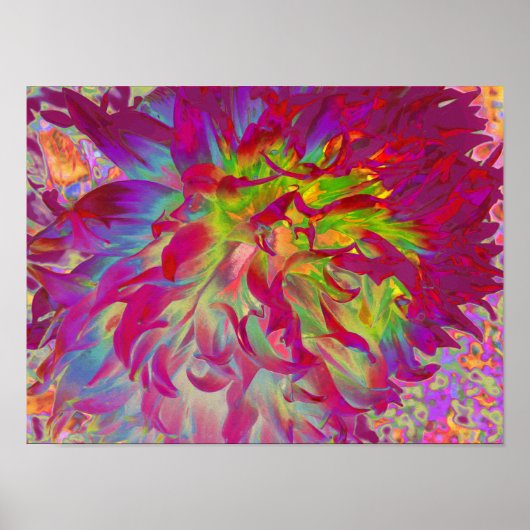 Psychedelic Magenta en Yellow Dahlia Flower Poster (Voorkant)