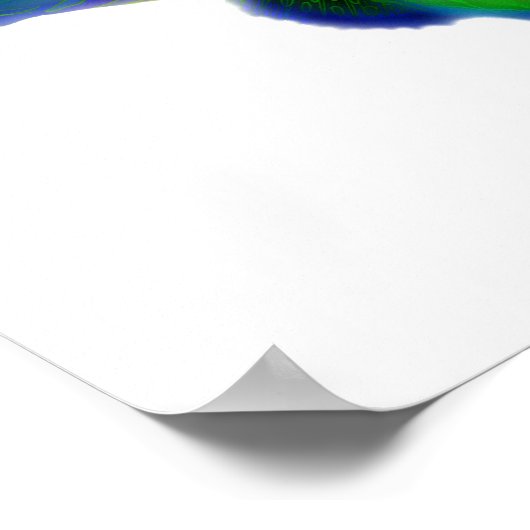 Psychedelic Mandarin Fish Poster (Hoek)