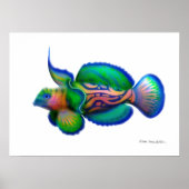 Psychedelic Mandarin Fish Poster (Voorkant)