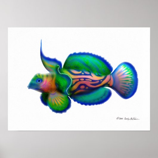 Psychedelic Mandarin Fish Poster (Voorkant)