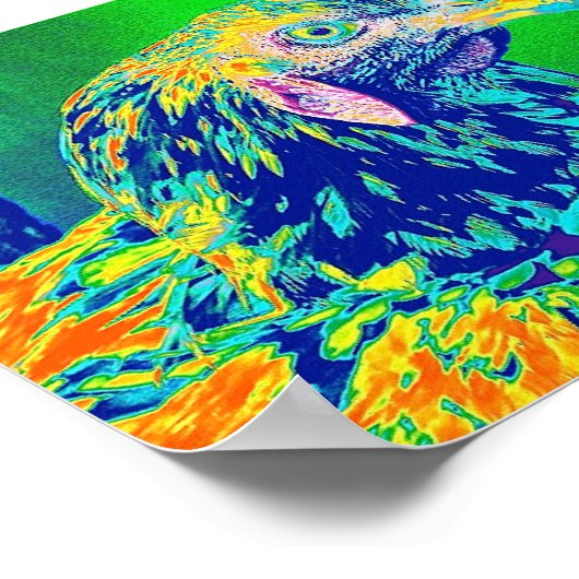 "Psychedelic Rooster" Poster (Hoek)