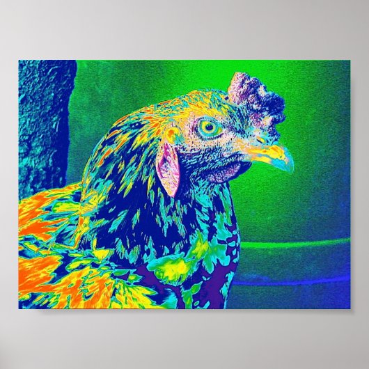 "Psychedelic Rooster" Poster (Voorkant)