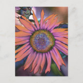 Psychedelic Sunflower Revisated Briefkaart (Voorkant)