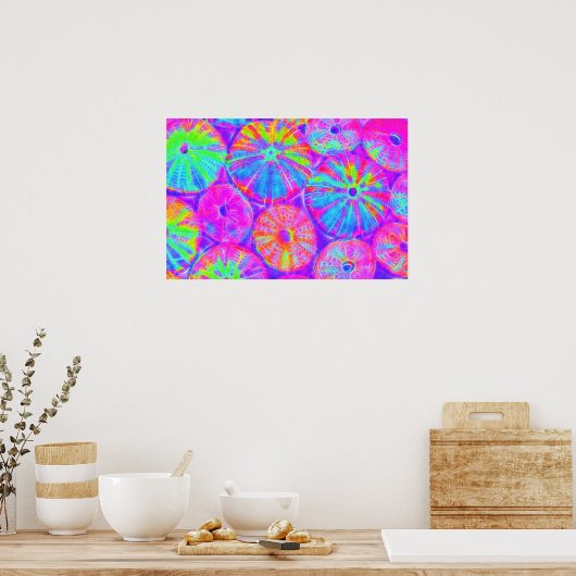 Psychedelic Urchins Poster (Keuken)