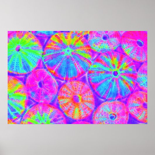 Psychedelic Urchins Poster (Voorkant)