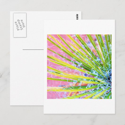 Psychedelic Yucca Briefkaart (Voorkant / Achterkant)