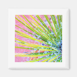 Psychedelic Yucca Magneet
