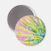 Psychedelic Yucca Magneet (Voorkant / Achterkant)