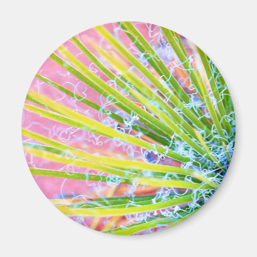 Psychedelic Yucca Magneet (Voorkant)