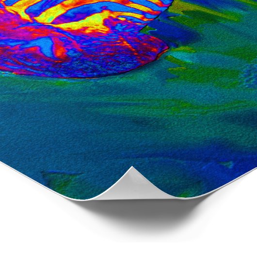 psychedelic zebra poster (Hoek)