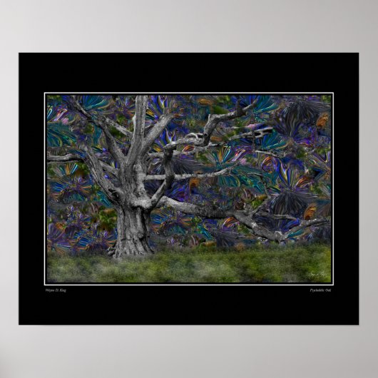 psychedelische eik poster (Voorkant)