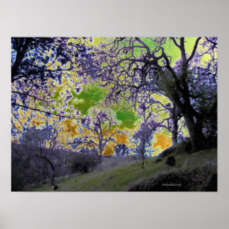 psychedelische groene en gele hemel poster