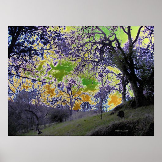 psychedelische groene en gele hemel poster (Voorkant)