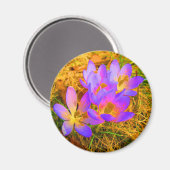 Psychedelische krokusmagneet magneet (Voorkant / Achterkant)