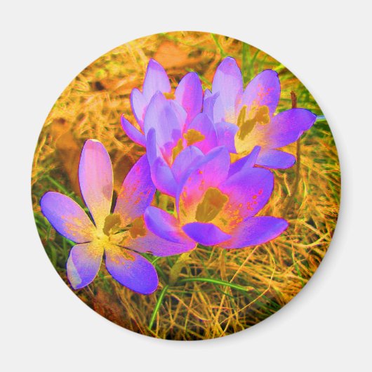 Psychedelische krokusmagneet magneet (Voorkant)