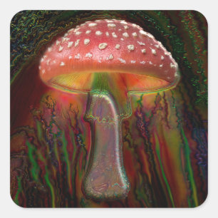 PSYCHEDELISCHE PADDENSTOEL VIERKANTE STICKER