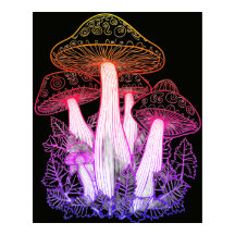 Psychedelische Paddenstoelen Zwarte Achtergrond Op