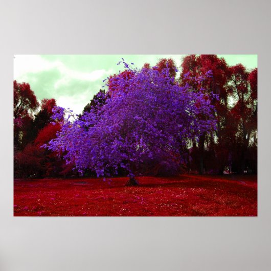 Psychedelische structuur poster (Voorkant)