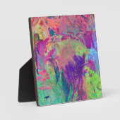 Psychedelische vis fotoplaat (Voorkant)