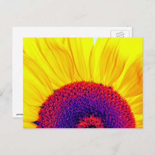 psychedelische zonnebloem briefkaart (Voorkant / Achterkant)