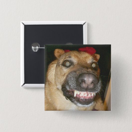 Psycho Duits Herder Hond Eng Kwaad Vierkante Button 5,1 Cm (Voorkant /achterkant)