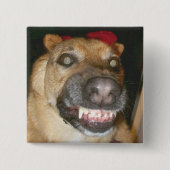 Psycho Duits Herder Hond Eng Kwaad Vierkante Button 5,1 Cm (Voorkant)