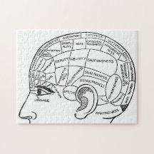 Psychologie phrenology psychiatrie brain