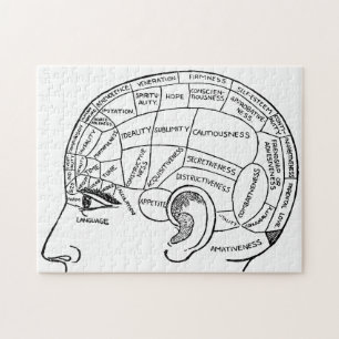 Psychologie  phrenology psychiatrie brain legpuzzel