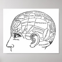 Psychologie phrenology psychiatrie brain