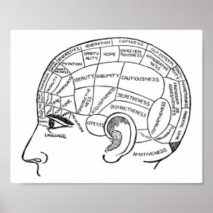 Psychologie phrenology psychiatrie brain poster